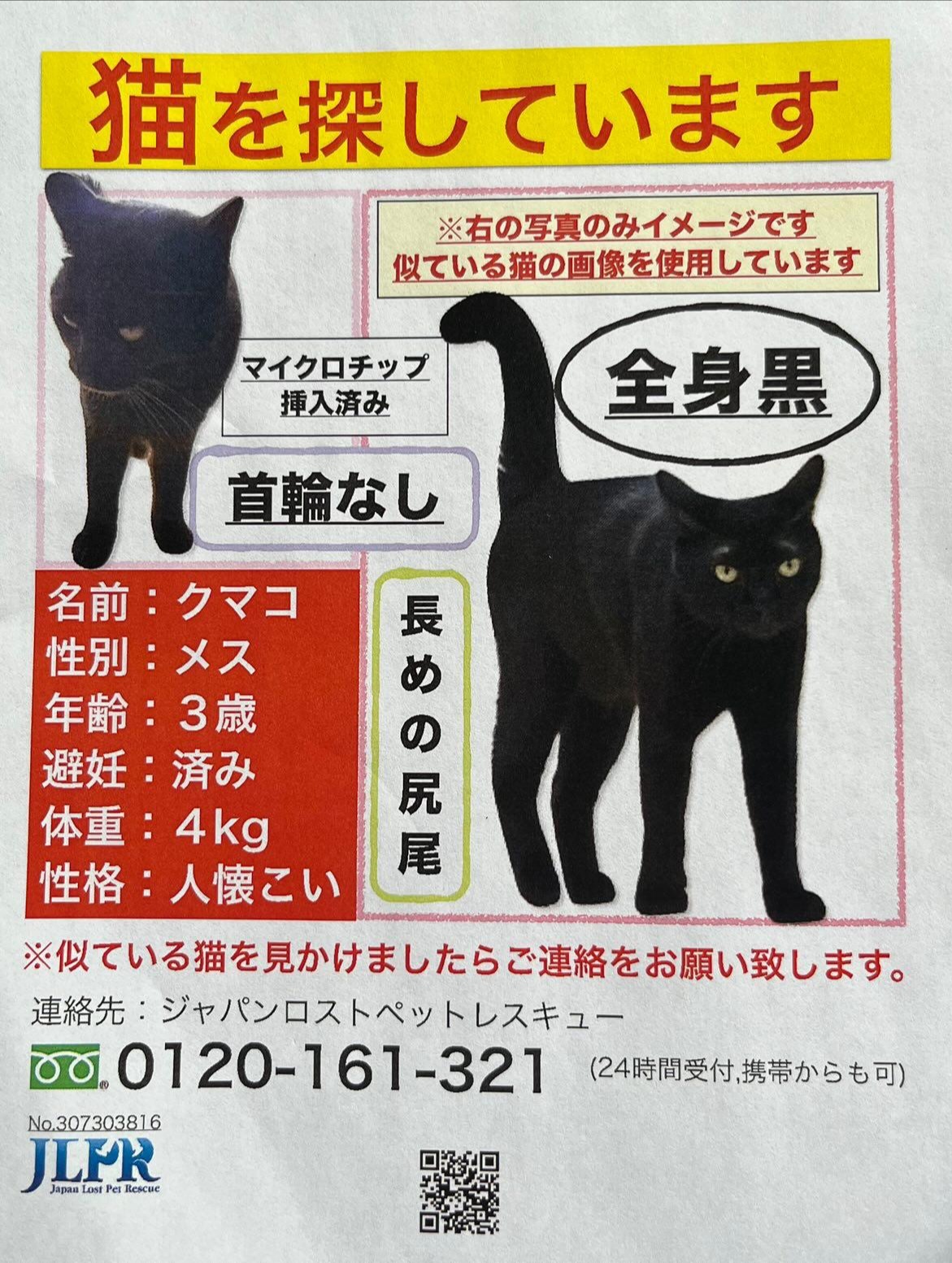 迷子猫情報(飼い主さんが飼い黒猫を探しています) | もひかん王国